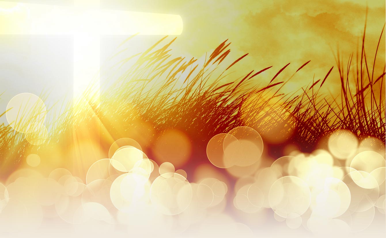 backgroundart image