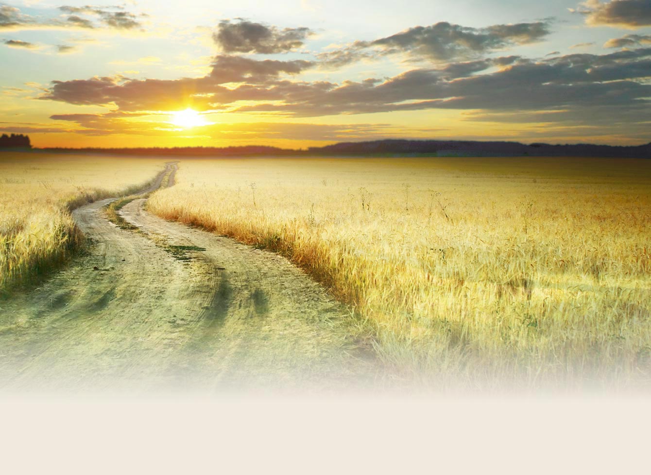 backgroundart image